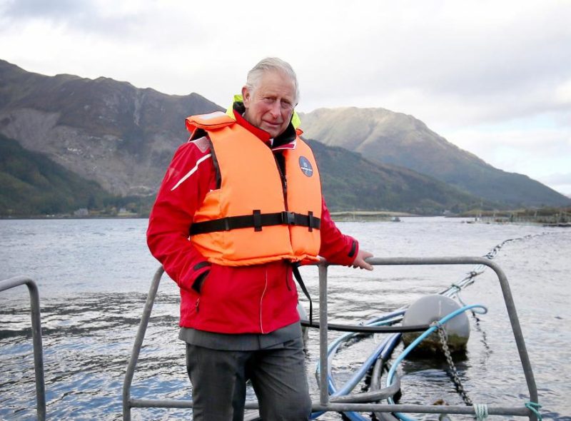 CHAMPIONING Sustainability