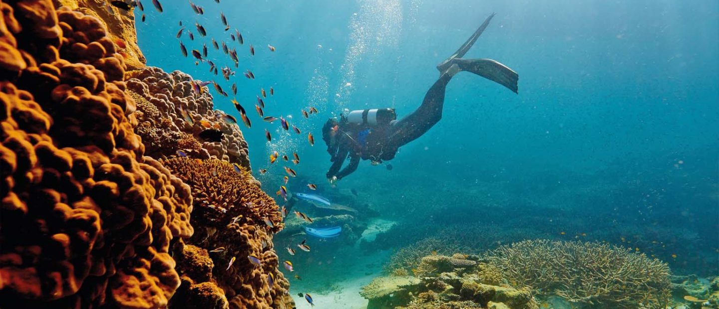 A MESSAGE ON THE GREAT BARRIER REEF