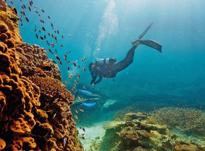 A MESSAGE ON THE GREAT BARRIER REEF