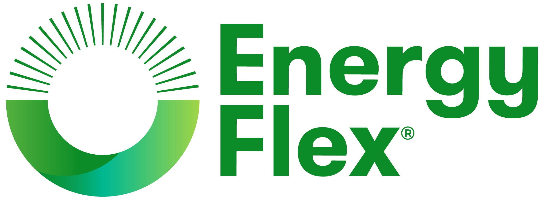 EnergyFlex
